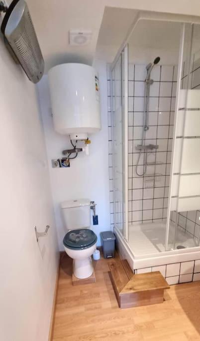 Studio En Rez De Jardin Avec Terrasse Privee - Le Petit Chateau Avesnois - Tv - Wifi - Logement Complet Avesnes-sur-Helpe Exterior foto